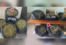 Sequestrati oltre 65 chili di Marijuana