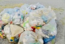 Paola. Inizia la pulizia delle spiagge. Il sindaco punta alla tutela dell’ambiente
