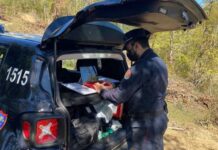 Movida senza regole. Primo locale sanzionato sul Tirreno Cosentino