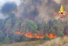 Incendi in Calabria, oggi già eseguiti 31 interventi: colpite tutte le Province