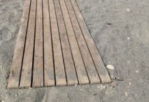 Lettere a PILLAMARO “Sul Tirreno Cosentino non riesco a portare mio cognato disabile a mare”.