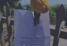 Praia a Mare. Intimidazione ad esponente politico (candidato alle elezioni comunali)