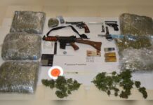 Droga e Armi. Blitz della Polizia di Stato