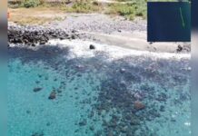 Mare pulito, la Regione schiera elicotteri e droni per monitorare le coste per tutta l’estate