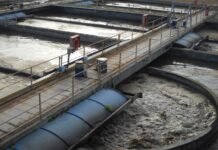 Mare pulito. Pelikan, Poseidone e le acque depurate da bere… e chi balla sul Tirreno cosentino.