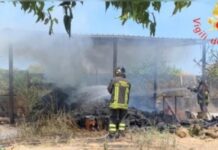 Dramma in Calabria:::Muore nel tentativo di salvare il pollaio da un incendio