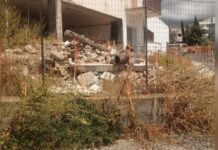 Belvedere Marittimo:::Erba alta alla vecchia scuola elementare. È polemica