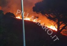 Paura a Fiumefreddo Bruzio:::Vasto incendio minaccia le abitazioni