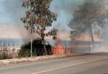 Praia a Mare:::Incendio sulla strada Provinciale lungo ex Marlane