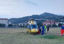 Fuscaldo:::Giovane colto da arresto cardiaco mentre fa sport