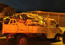 Tirreno Cosentino:::Blitz della Guardia Costiera di Cetraro