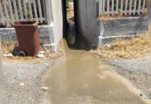 Belvedere Marittimo:::La Segnalazione: “Presunti Liquami in località Castromurro”.