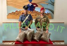 Coltivava nove chili di Marijuana:::Arrestato consigliere comunale calabrese