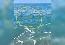 Tirreno Cosentino:::Mare: “Caro Occhiuto, ancora non ci siamo”