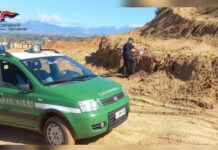 Sradicate querce e macchia mediterranea per lavori abusivi:::Area sequestrata in provincia di Cosenza