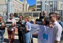 Paola:::Cannabis a scopo curativo. Dopo 1200 giorni assolto Cristian Filippo