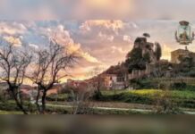 Tirreno Cosentino:::Auto di un sindaco in fiamme. La solidarietà dei colleghi.