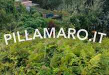 Tragedia sul Tirreno Cosentino:::Si ribalta con il mezzo agricolo e muore