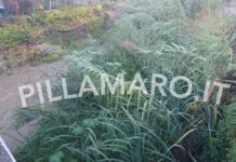 Belvedere Marittimo:::Massimilla al sindaco: “Pulire il fiume Gafaro. Cittadini vogliono risposte”