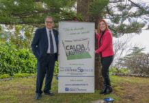 Cetraro. Mancano figure professionali per alunni disabili:::Lettera a Comune e Regione