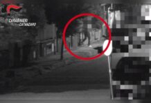 Favoreggiamento della Prostituzione:::Sei misure cautelari