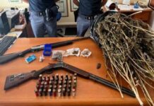 Marijuana da spacciare e fucili:::Blitz della polizia di stato.