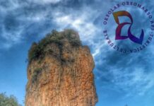 Orsomarso:Guardia medica. L’Associazione Orsolab chiede un incontro al Commissario Straordinario dell’ASP di Cosenza