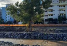 Diamante:::Gli ambientalisti “Fermato il taglio di alberi lungo il Corvino”