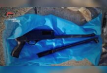 Armi e droga in azienda agricola:::Due arresti. Operazione dei Carabinieri