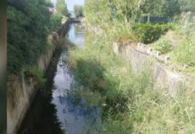 Scalea:::Paravati: “Situazione dei Canali nel nostro comune desta preoccupazione”