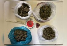Mezzo chilo di Marijuana rinvenuto durante perquisizione domiciliare:::In manette un 51enne