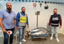 Sequestro prodotto ittico in Calabria