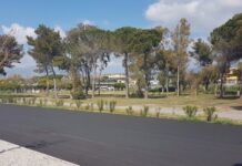 A Santa Maria Del Cedro “Zero cani in Canile”