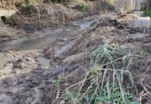 Belvedere:::Impegno Comune: ‘Bene pulizia del Gafaro, adesso raccogliere materiale residuo’