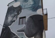 Verbicaro:::Un albero con l’occhio di un’ape -L’INIZIATIVA-