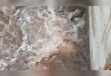 Fuscaldo:::Il depuratore finisce di nuovo nell’occhio del ciclone