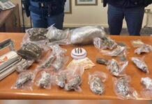 Due chili di Marijuana e munizioni nel nascondiglio:::Blitz della Polizia