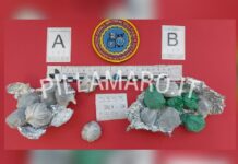 Paola:::Droga nelle scuole. Ritrovata Marijuana