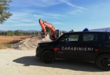 Sequestrato cantiere di inerti nel cosentino:::Sorpresi in due mentre trafugavano legname