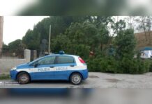 Fuscaldo:::Raffiche di vento. Danni e disagi