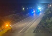 Investita da auto in corsa:::Muore una donna in Provincia di Cosenza