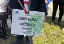 Paola:::Mettiamo radici per il futuro. Successo per l’iniziativa nelle scuole