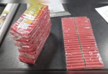 Sequestrati 70 chili di botti illegali:::Una persona denunciata