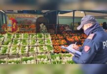 Venditore ambulante di frutta e verdura in possesso di armi e munizioni