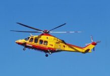 Stritolata nel frantoio:::grave incidente in Calabria