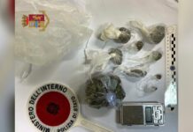 Stupefacenti:::Blitz della Polizia di Stato