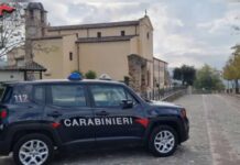Maltrattamenti:::due casi in Provincia di Cosenza. Blitz dei Carabinieri