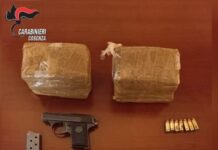 Cosenza:::armi, munizioni e dieci chili di Hashish. Blitz dei Carabinieri