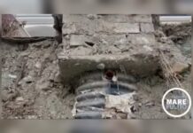 Fuscaldo:::Erosione Costiera e presunti scarichi abusivi. LA DENUNCIA