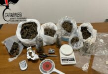 Oltre un chilo di Marijuana pronta ad esser spaccata. Blitz dei carabinieri nel cosentino
